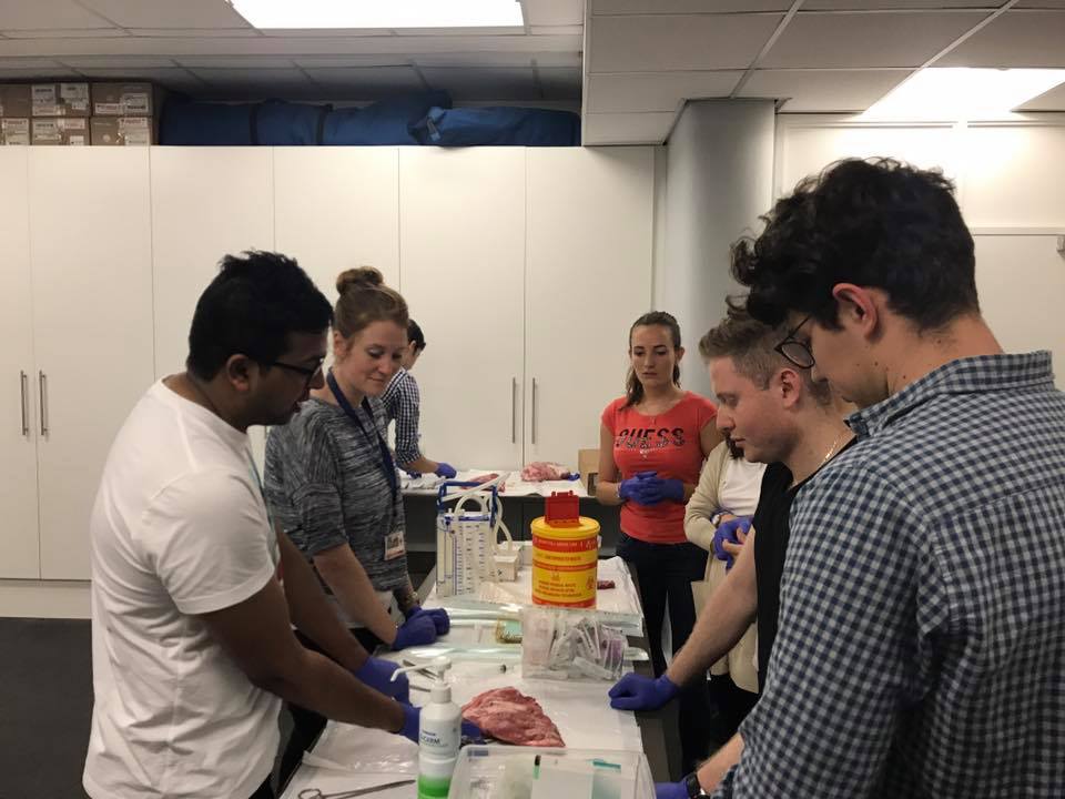 23755383 1589353567839312 9147696202396826353 N