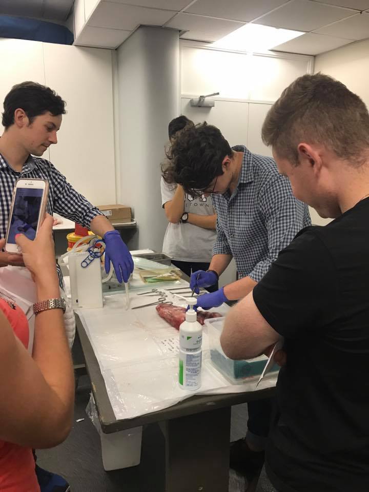 23844433 1589353481172654 2722778364772594860 N