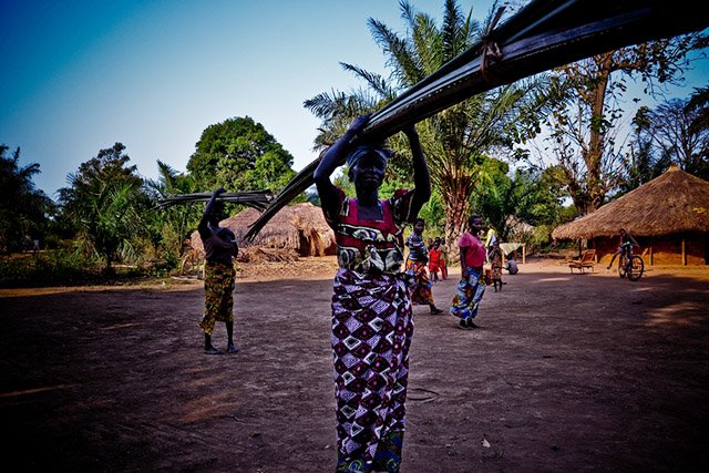 Women provide bundles of palm leaves for the construction of the MSF base in Bili, Province Equateur, DRC. Photo: Photo: Sandra Smiley
