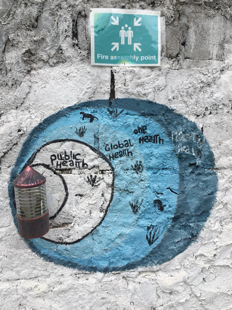 MSF, Doctors Without Borders, Adopting to climate change challenges