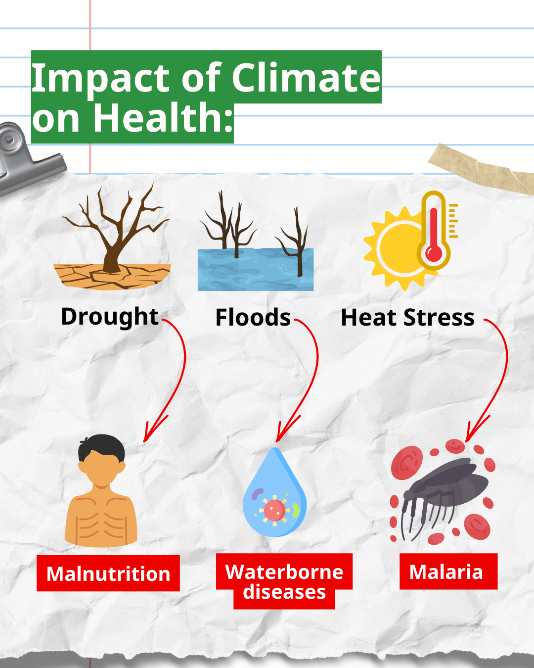 Doctors Without Borders, MSF, Green initiative