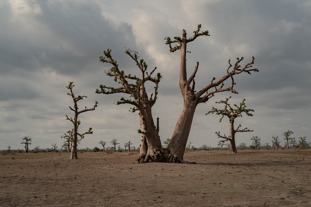 MSF, Doctors Without Borders, health impacts of climate change