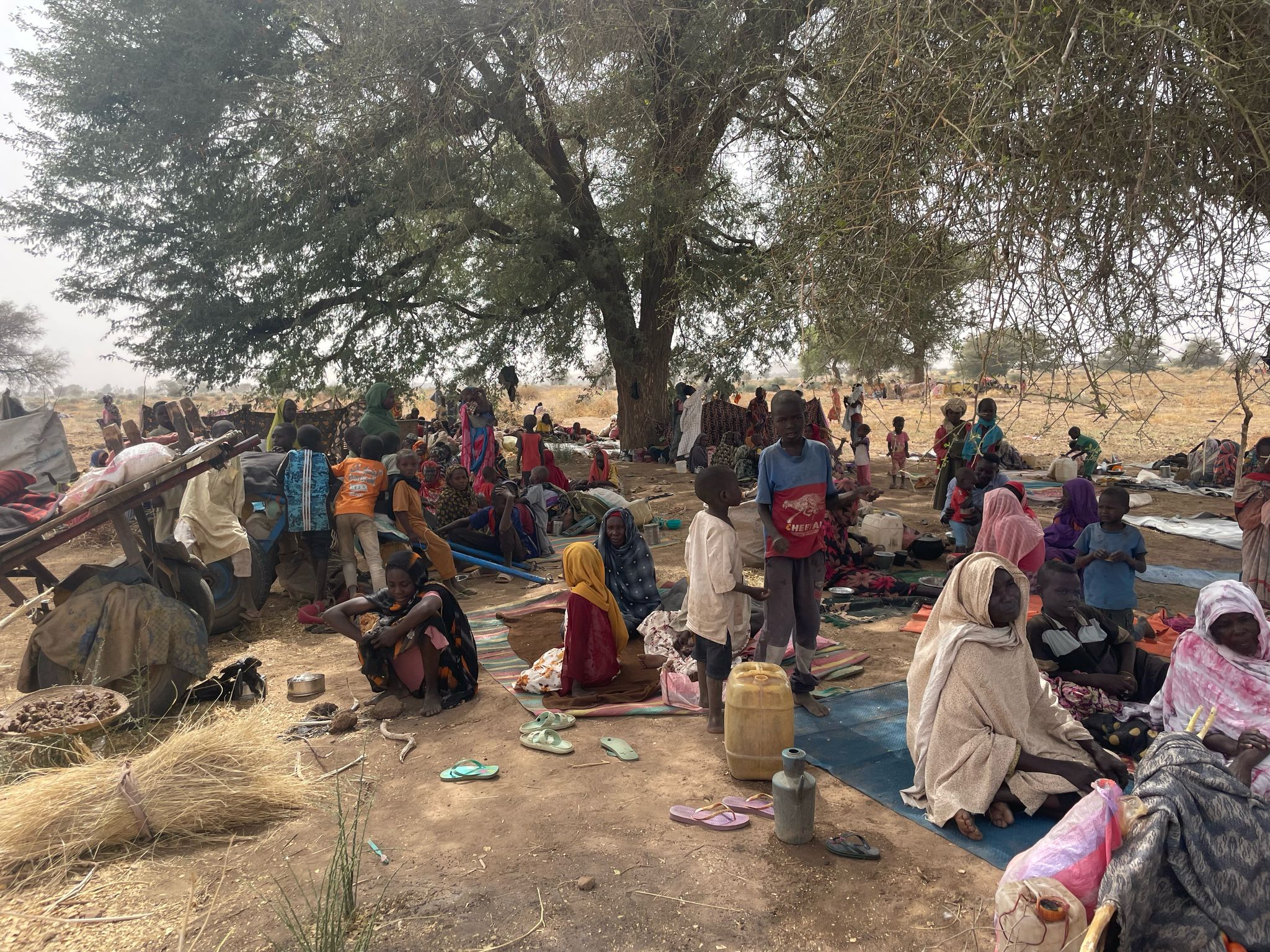 Doctors Without Borders, MSF, Two years of war in Sudan