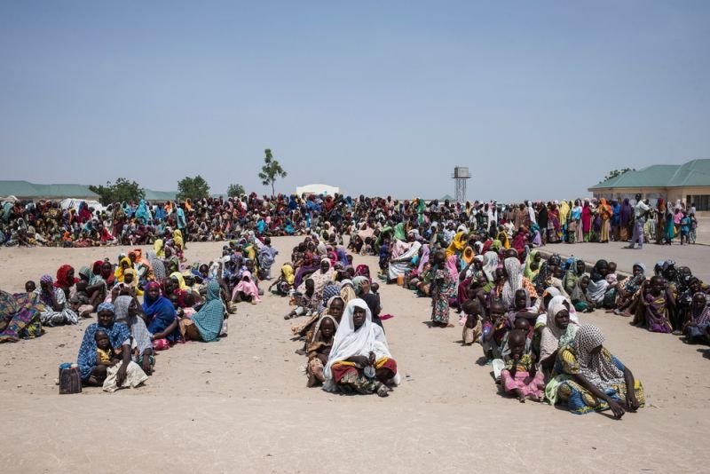 MSF, Doctors Without Borders, Nigeria