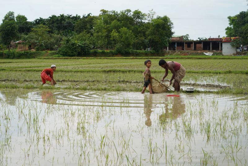 MSf, Doctors Without Borders, Bangladesh, Rohingya refugees, one year on