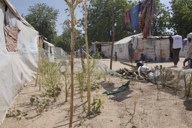 MSF, Doctors Without Borders, Nigeria, Borno State humanitarian crisis