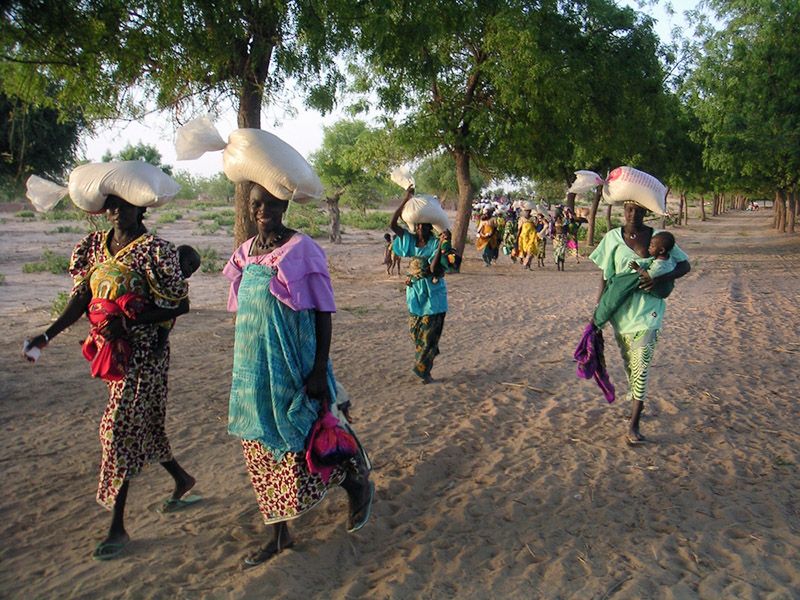 Niger Malnutrition