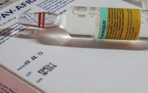 Snakebite: little hope of a cure for the most vulnerable.