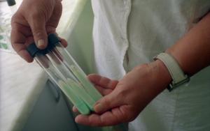 Drug-resistant TB (DR-TB) Colony 3. Donetsk Ukraine