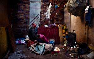 Urban Survivors