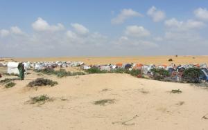 IDP camps, Jazeera + Rajo + Refinery camps, all uses
