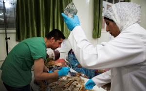 Syria - Aleppo province MSF hospital 