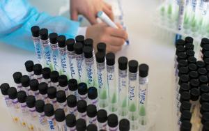 Treating XDR-TB patients in Grozny