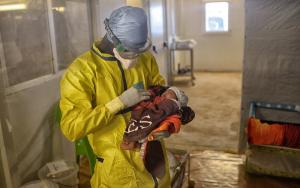 MSF Ebola Treatment Centre in Conakry, Guinea