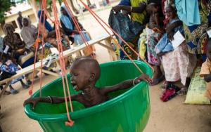 Nutrition Screening Benicheikh Borno State Nigeria