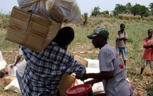 after the earthquake, logistic, material and post op cares are furnished by MSF.