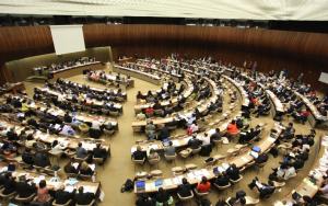 MSF, Doctors Without Borders, 77th World Health Assembly, 