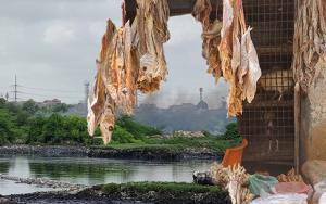 BTC Machar Colony, Karachi