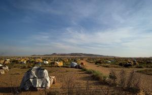 MSF, Doctors Without Borders, Displaced in El Fasher, Sudan 