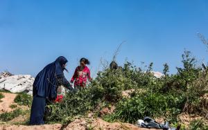 MSF, Doctors Without Borders, Displacement in Gaza 