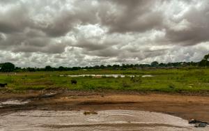MSF_ Doctors Without Borders Mozambique