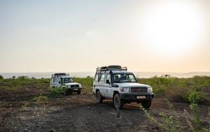 MSF, Doctors Without Borders, MSF activities in 2025