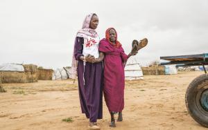 MSF, Doctors Without Borders, MSF activities in Chad