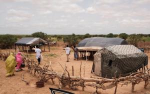 MSF, Doctors Without Borders, MSF activities in Mauritania