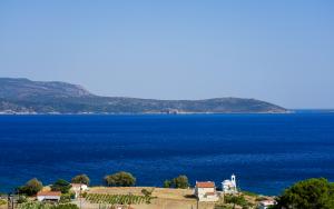 MSF_Turkiye, Samos, Greece