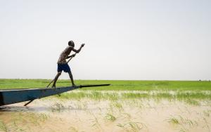A boatman crossing the Niger river in Timbuktu region, Mali. 