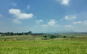 MSf, Doctors Without Borders, Eswatini, Mental Health 