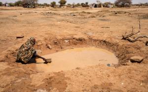 Doctors Without Borders, MSF, Refugees in Chad