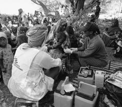 Vaccination campaign under a tree in a refugee camp in the mountains.