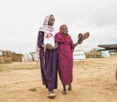 MSF, Doctors Without Borders, MSF activities in Chad