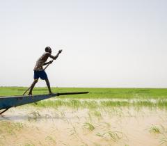 A boatman crossing the Niger river in Timbuktu region, Mali. 