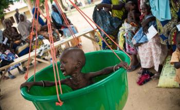 Nutrition Screening Benicheikh Borno State Nigeria