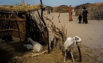 Lake Chad - people in dire need of support Lake Chad - people in dire need of support
