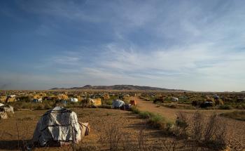 MSF, Doctors Without Borders, Displaced in El Fasher, Sudan 