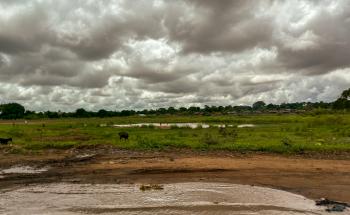 MSF_ Doctors Without Borders Mozambique