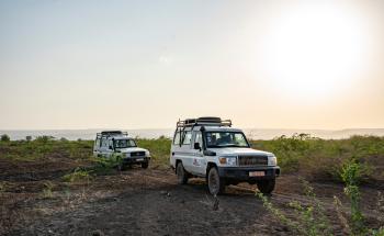 MSF, Doctors Without Borders, MSF activities in 2025