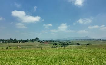 MSf, Doctors Without Borders, Eswatini, Mental Health 