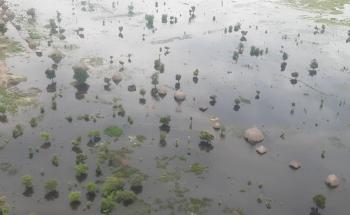 Aerial view over flood affected Bentiu in Unity state, South Sudan