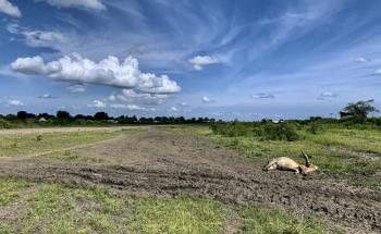 South Sudan Landscape
