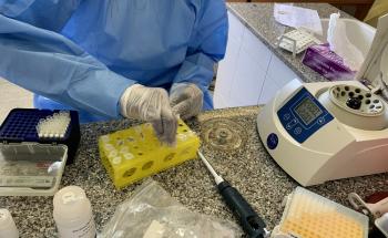 Lab technician fixing samples