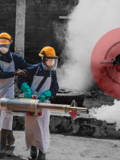 MSF teams fumigate a neighbourhood in Matadi, DRC  during an operation to kill adult mosquitoes.