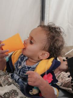 Cholera Treamtment Unit - Ibb City Yemen