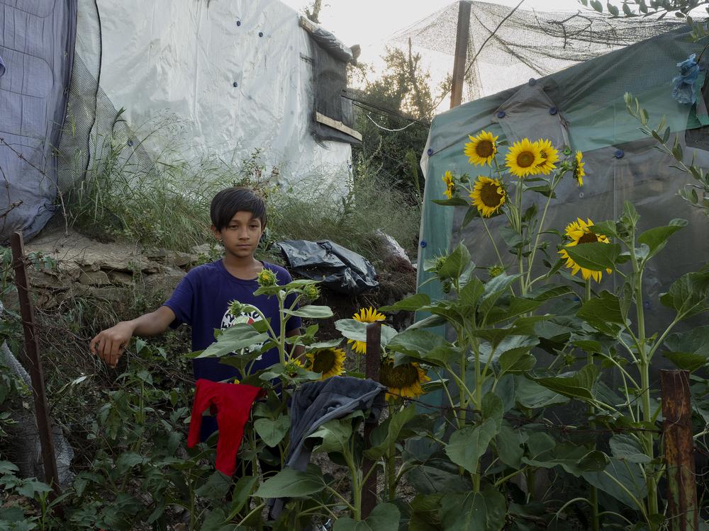 Mental Health in Moria, Lesbos