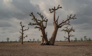 MSF, Doctors Without Borders, health impacts of climate change