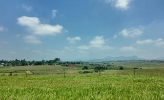 MSf, Doctors Without Borders, Eswatini, Mental Health