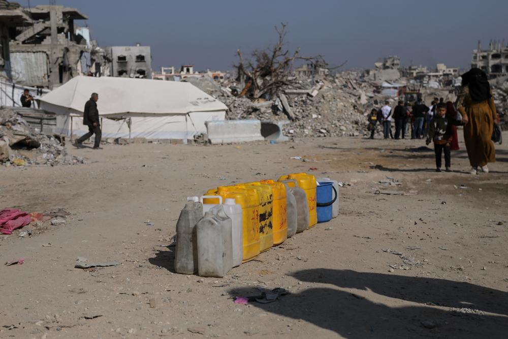 Doctors Without Borders (MSF)_Palestinian land